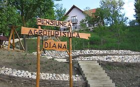 Pensiunea Agroturistica Diana